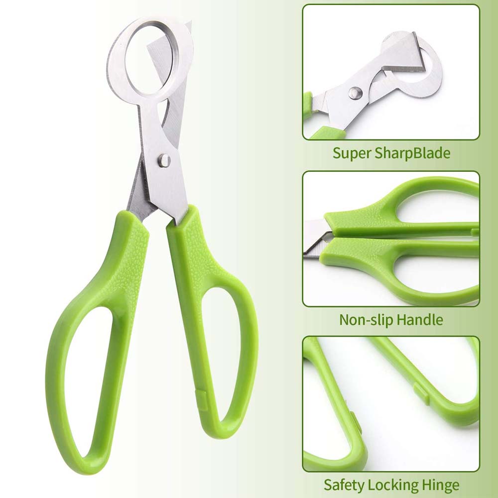 قالب رش الكيك متعدد الأنماط مق - مراجعة Kitchen Tools For Baking وسعره