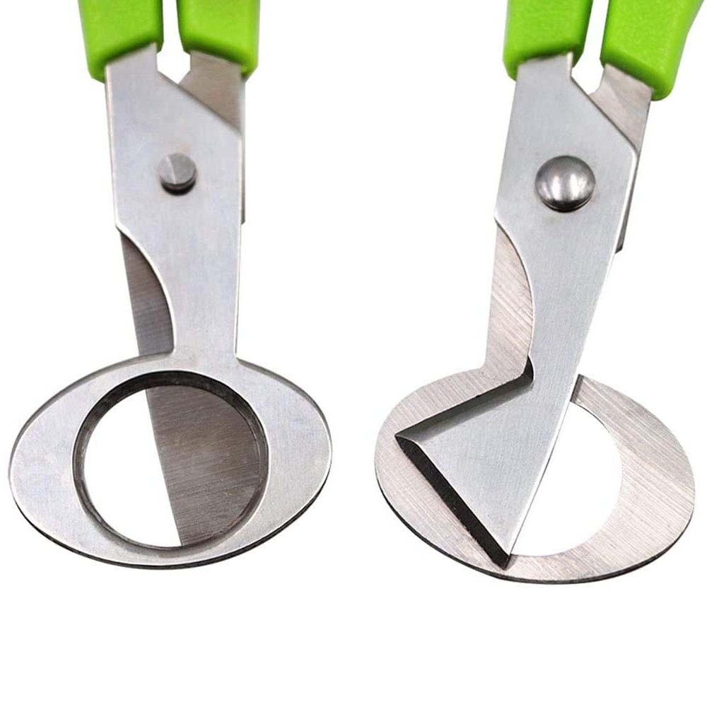 قالب رش الكيك متعدد الأنماط مق - مراجعة Kitchen Tools For Baking وسعره