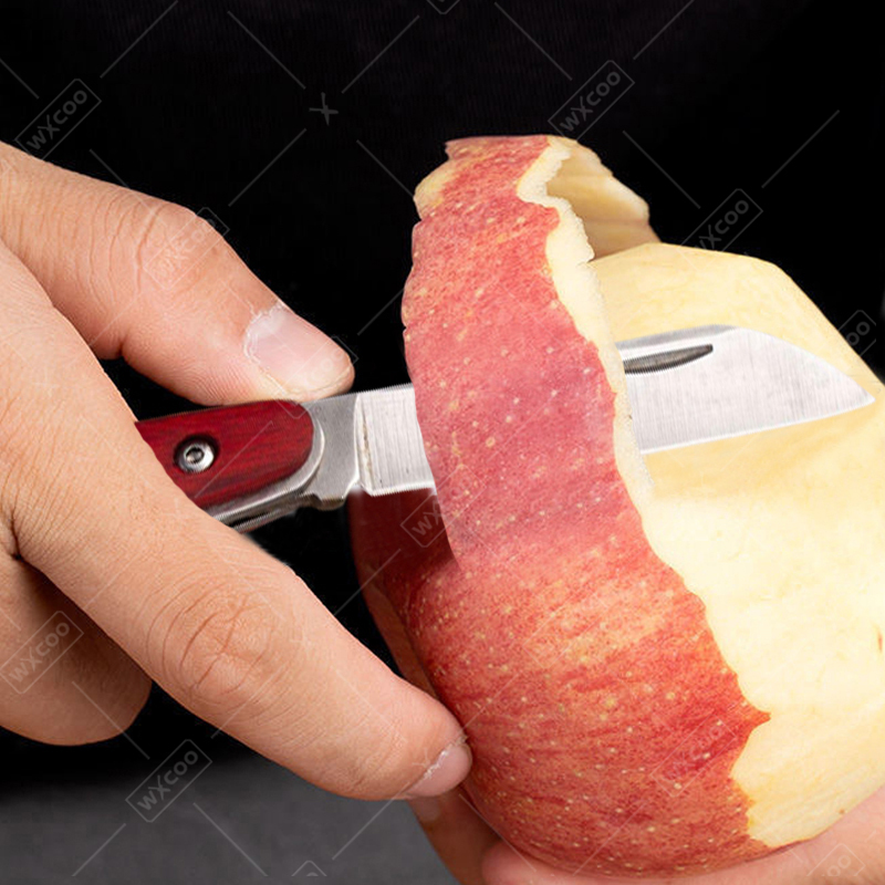 سكين جيب من الفولاذ المقاوم لل - مراجعة Kitchen Q وسعره